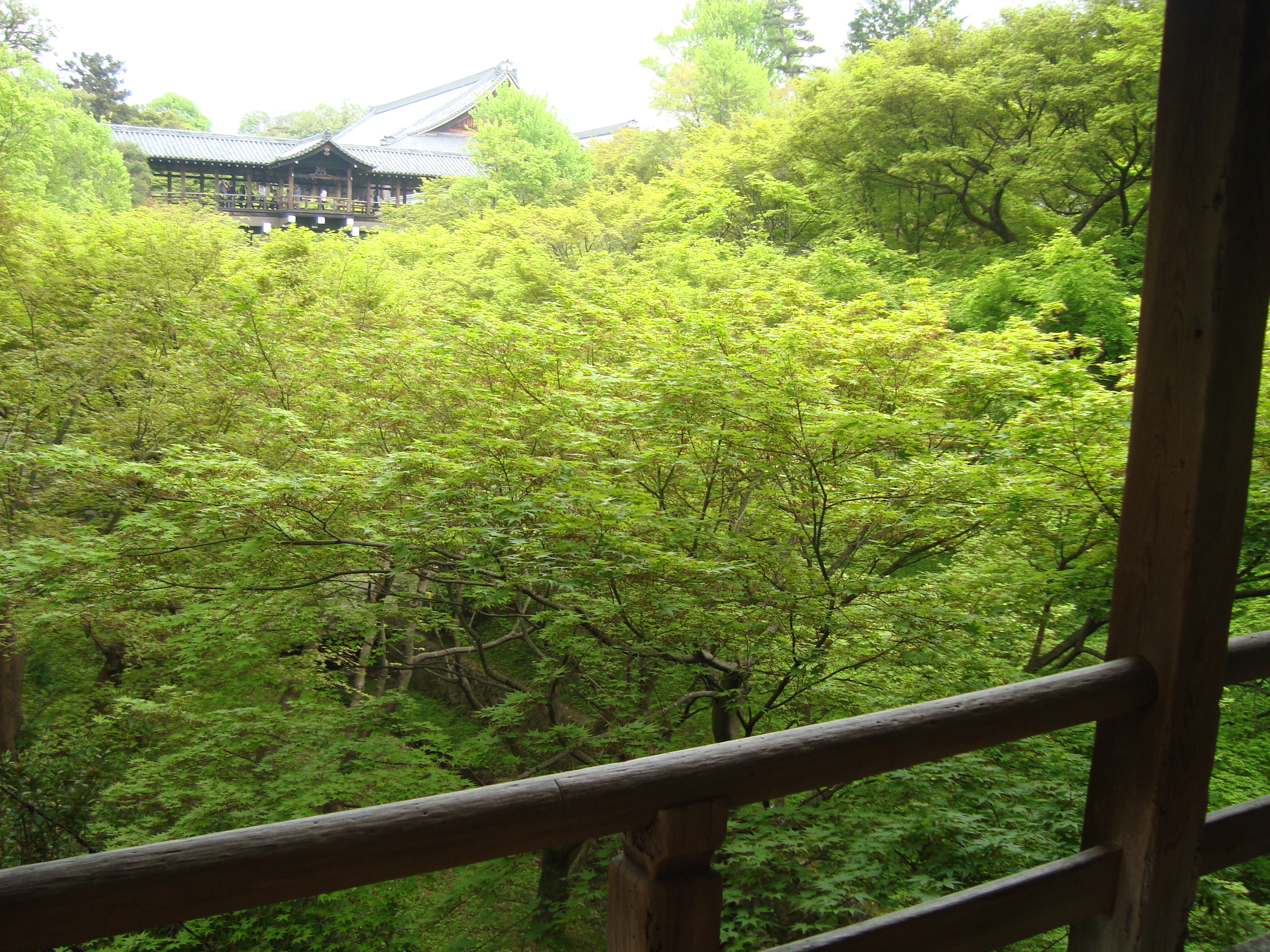 東福寺2臥雲橋.JPG