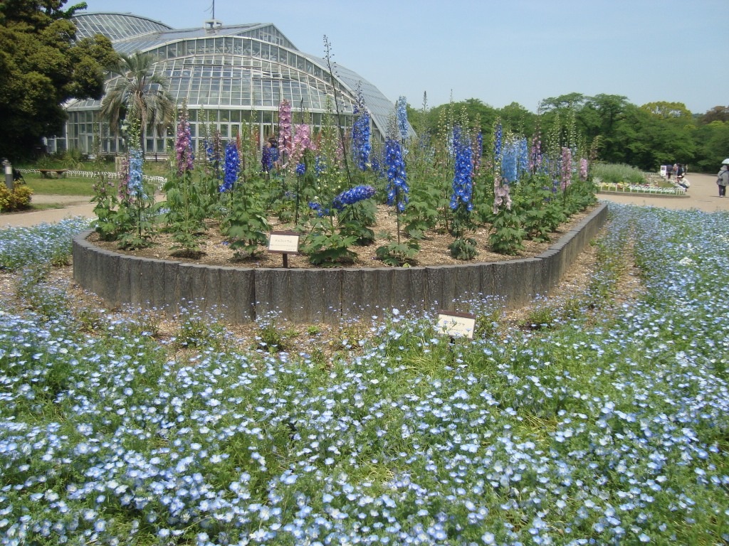 植物園1.JPG