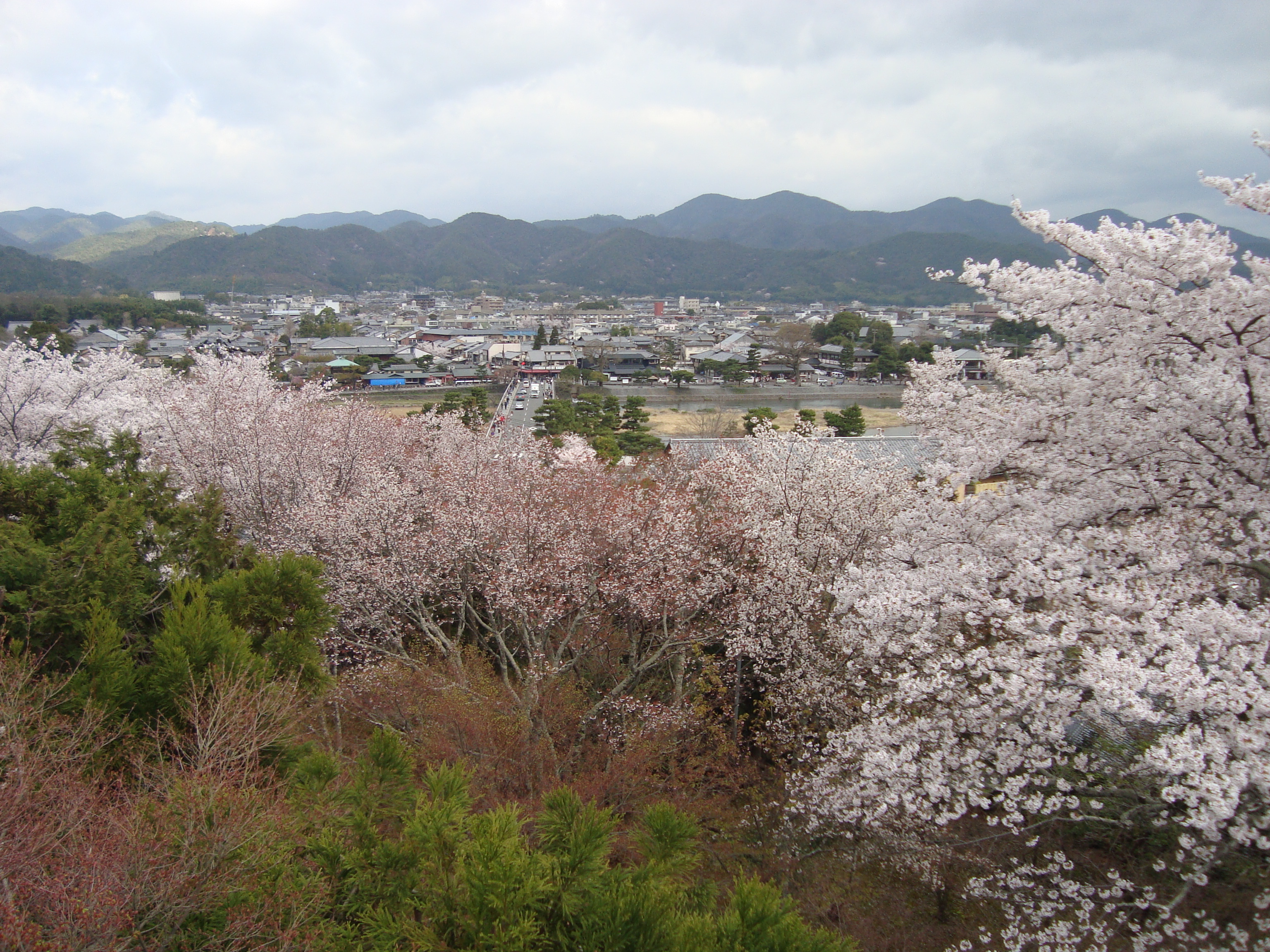 法輪寺2.JPG