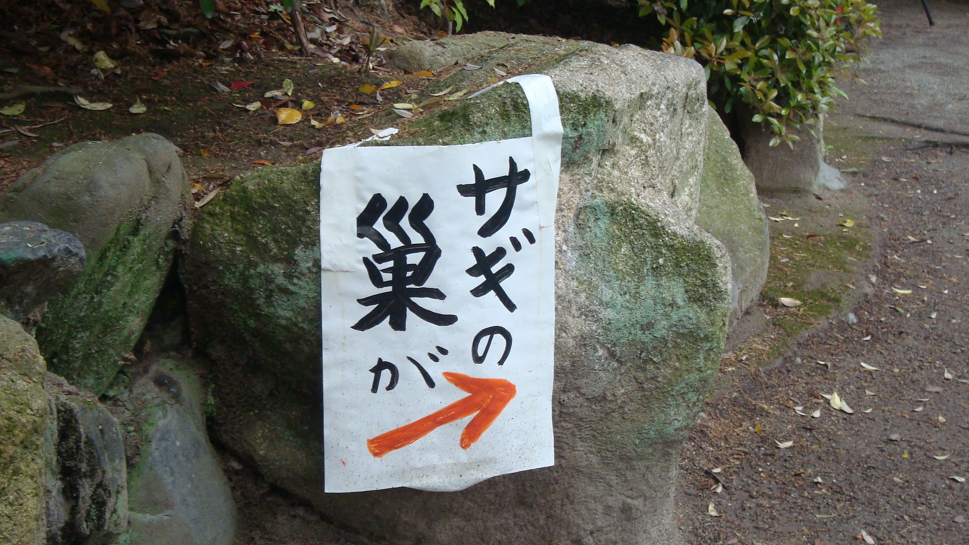 看板2.JPG