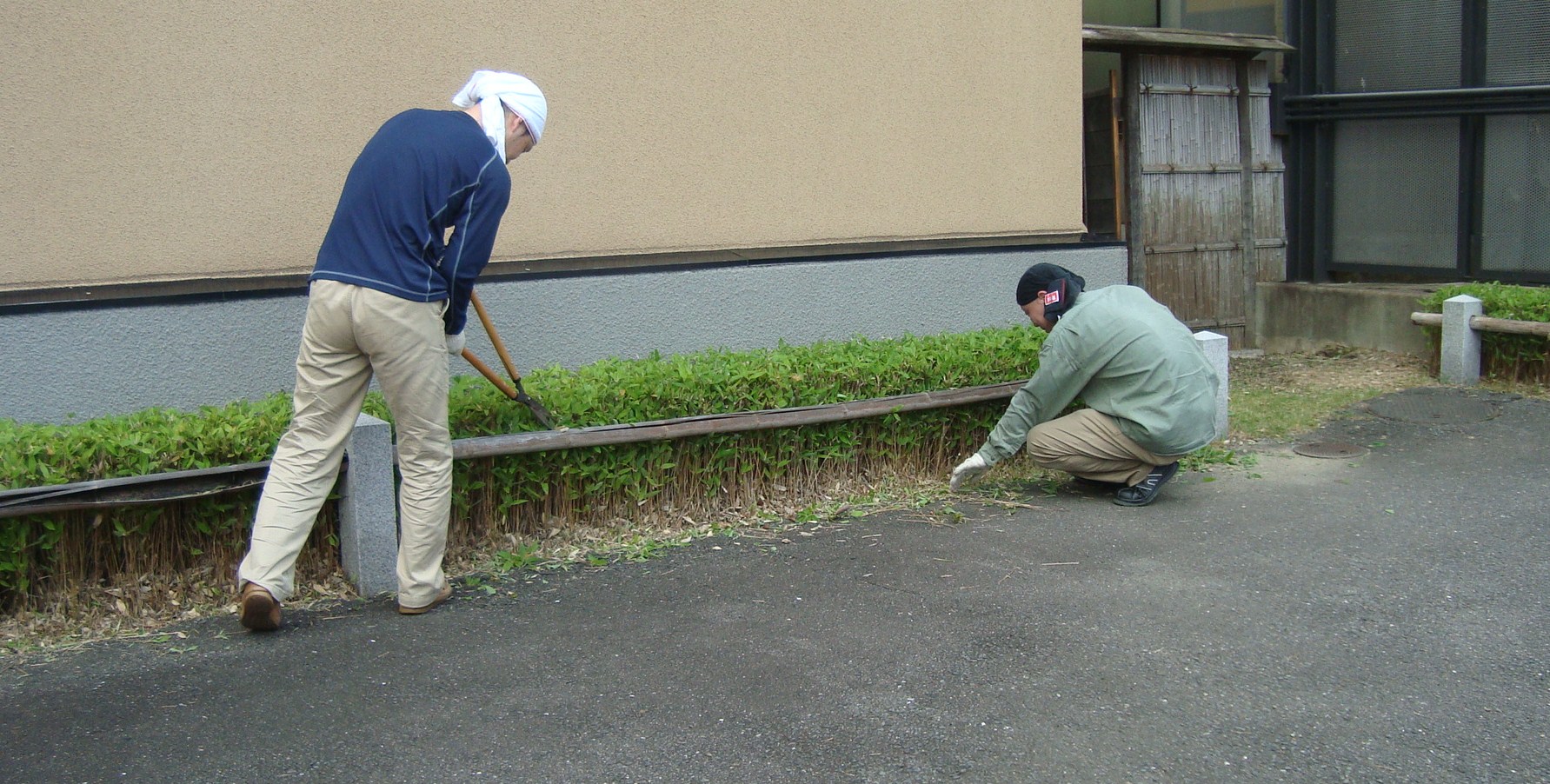 芝刈り6.JPG