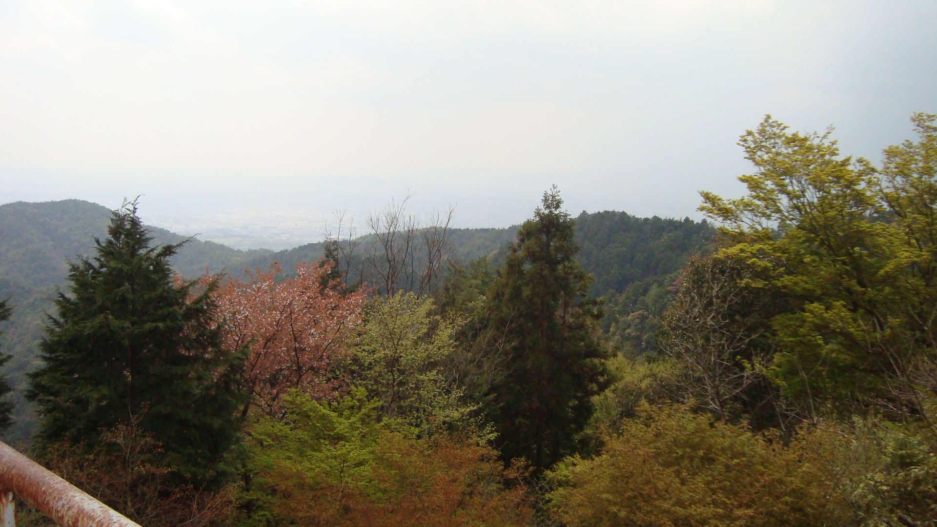 醍醐寺山頂.JPG