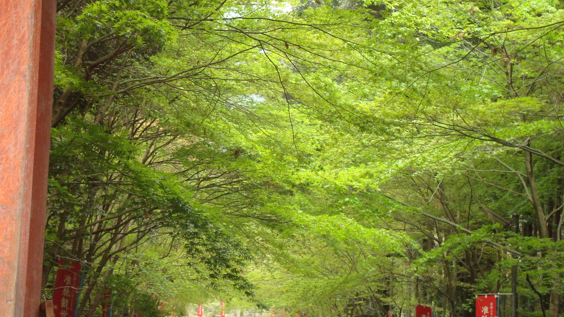 醍醐寺3.JPG