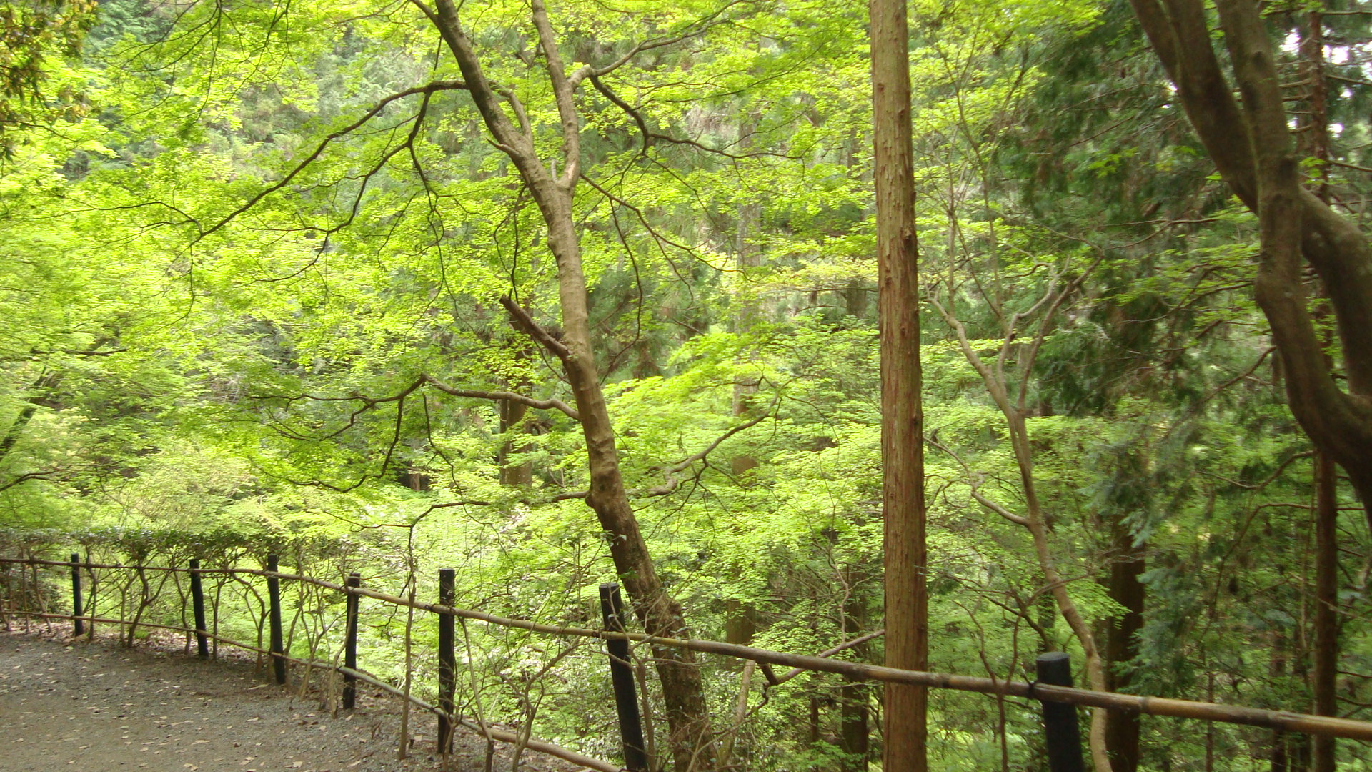 鞍馬寺.JPG