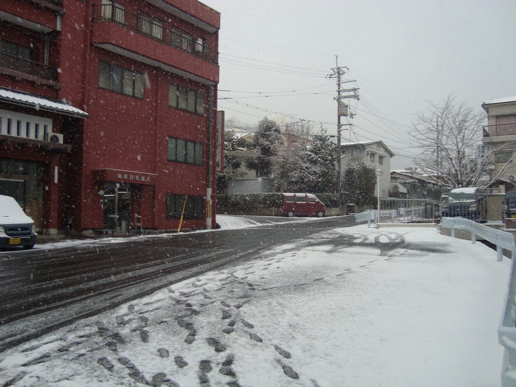 2016年１月雪の日2.JPG