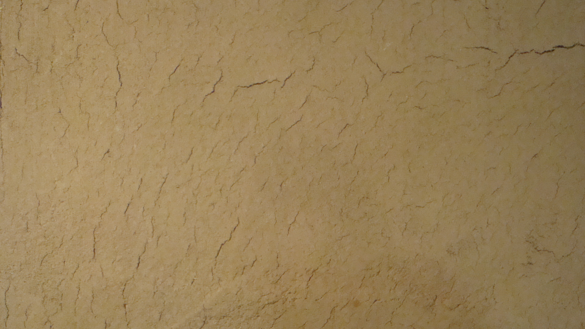 ギャラリーの壁 うつわの小径 ギャラリー洛中洛外